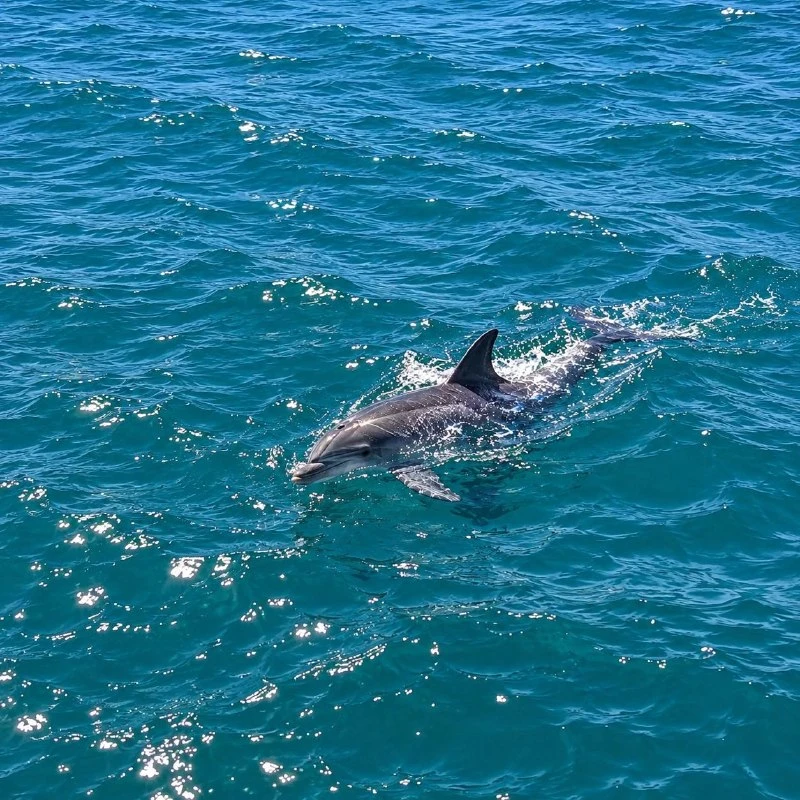 NILORA guests out on the water with Port AdVenture Cruises Port Macquarie